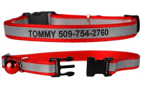 Engraved Cat Collars | Reflective & Breakaway – GoTags