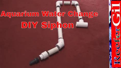 How To Make Your Own Aquarium Siphon A Step By Step Guide For Beginners