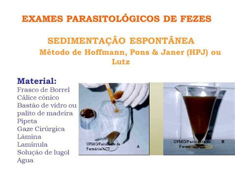 EXAMES PARASITOLÓGICOS DE FEZES 2 ppt video online carregar