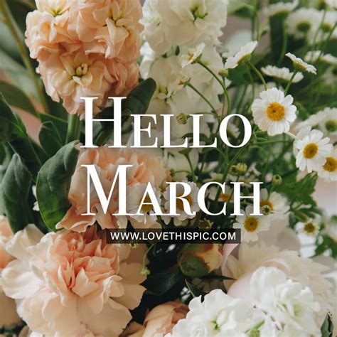 White And Beige Flowers Hello March Quote Pictures Photos And