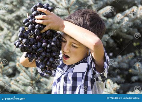 Boy Eating Grapes Stock Image Image Of Food Portrait 77268325