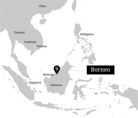 Sustainable Travel In Borneo Our Top Picks Discova