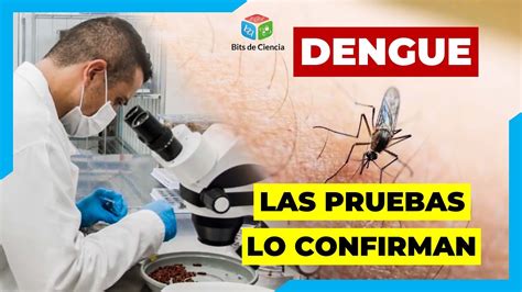 LAS PRUEBAS DE DIAGNÓSTICO PARA DETECTAR AL VIRUS DEL DENGUE YouTube