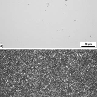 A MnS Inclusions Dark Grey B Microstructure Of The Investigated