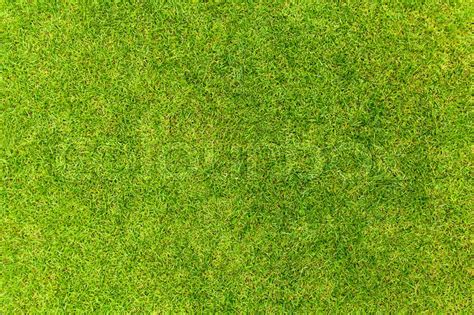 Top View Of Natural Green Grass Stock Image Colourbox