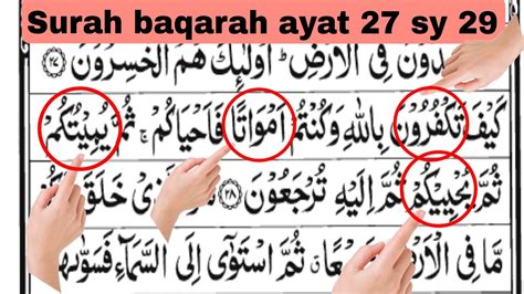 Quran 🔥 Surah Al Baqarah Surah Baqarah Learn Surah Al Baqarah With