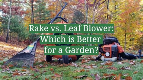 What Are The Pros And Cons Of Using A Leaf Blower Vs Raking Leaf Blowers Review