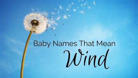 Baby Names That Mean Wind Moms Who Think