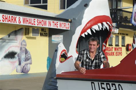 Revealed What Happened To Vic Hislops Frozen Sharks Fraser Coast