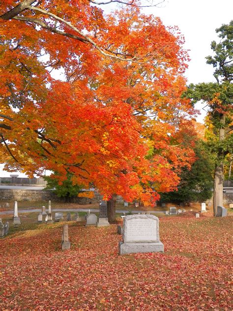 Laurel Hill Cemetery Reading Ma Lisa Mccauley Flickr