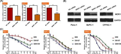 The Efficacy Of Osi 027 And Gemcitabine Gem On Pdac Cell Line