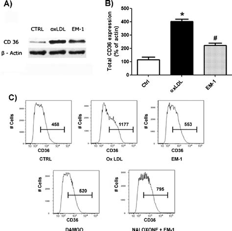 Em Down Regulates Cd Expression In Thp Derived Foam Cells Via