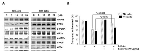 A Western Blotting Analysis Of Er Stress Related Proteins In T And