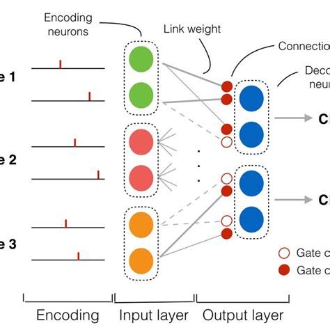 The Connection Sparsity Of Snn Cg The Connection Sparsity Is The