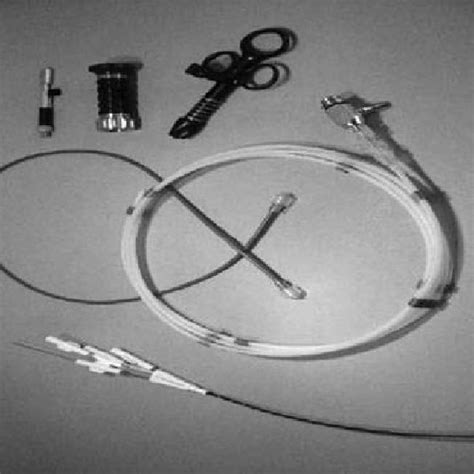 Parts Of Polyscope From Below Anticlockwise Multilumen Catheter Download Scientific Diagram