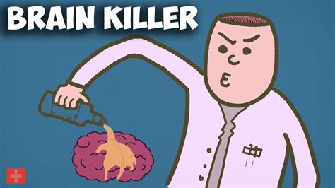 Does Alcohol Kill Brain Cells Separating Fact From Fiction Schooltube