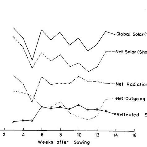 Patterns Of Global Net Short Wave Net Long Wave Net Radiation