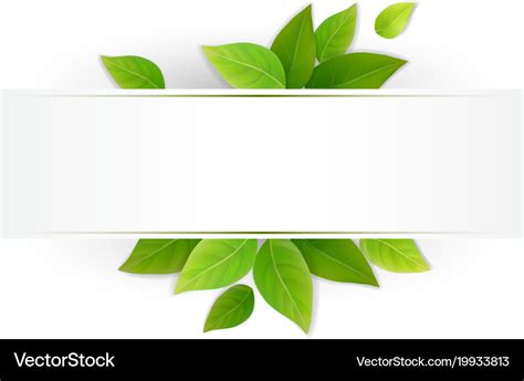 Label With Fresh Green Leaves Royalty Free Vector Image