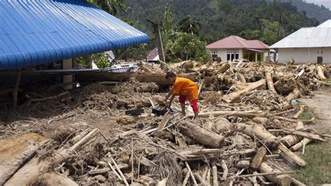 En Indonésie la déforestation intensifie les catastrophes dues aux