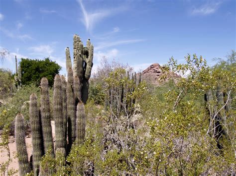 Fotos gratis : paisaje, árbol, naturaleza, césped, rock, desierto ...