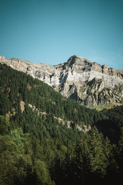 Majestosas Montanhas Dos Alpes Cobertas De Rvores E Nuvens Foto Premium