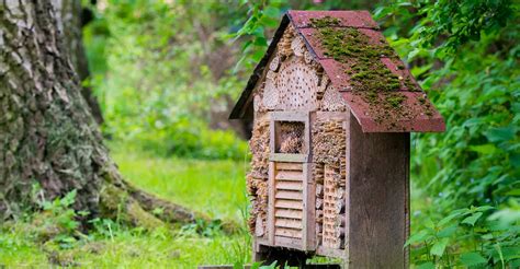 How To Build A Bug Hotel! | DIY Garden