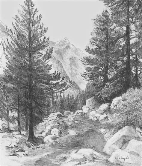 Wilderness Drawings at PaintingValley.com | Explore collection of ...