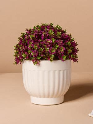 Nestasia Planters : Buy Nestasia White Ribbed Vase Online | Nykaa Fashion