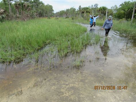 Seminole Tribe of Indians Youth Conservation Camp | FWS.gov