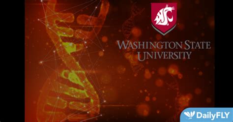 WSU Shares That New Genetic Target For Male Contraception Was