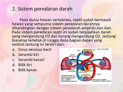 Sistem Peredaran Darah Reptilia Ilmu