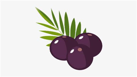 Clip Art Best Graphic Acai Berry Vector Transparent Png 425x389