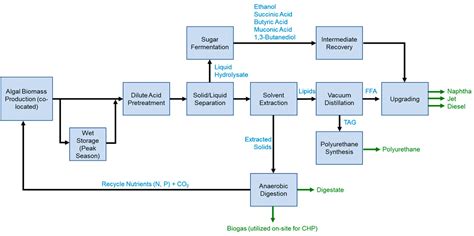 Frontiers Enabling Production Of Algal Biofuels By Techno Economic