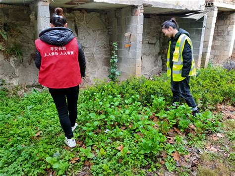 云岩区三桥路街道开展禁种铲毒踏查活动 贵阳网