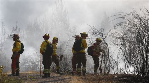 Declaran Alerta Roja Por Incendio Forestal En La Comuna De Temuco