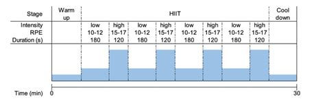 Schematic Depicting The High Intensity Interval Training Hiit Protocol Download Scientific