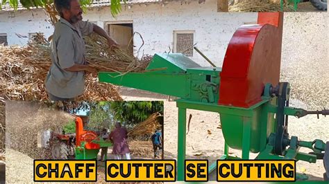 Chaff Cutter Se Cutting Aaj Farm Par🚜🚜🚜 Best Cutting Qualitytrending