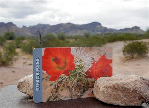 National Parks Lifetime Senior Pass Last Day To Get Yours Before Prices Increase Here S How