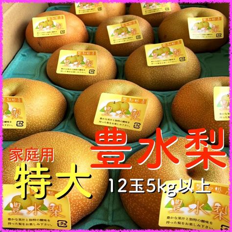 【新品 未使用】翌日発送 数量限定 徳用 特大 豊水梨 12玉入5kg以上 愛知発 あ メルカリ