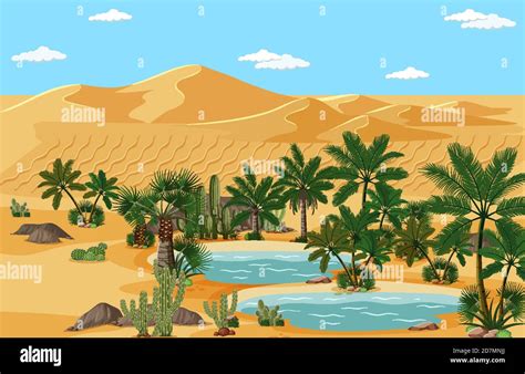 Desert Oasis With Palms And Catus Nature Landscape Scene Illustration