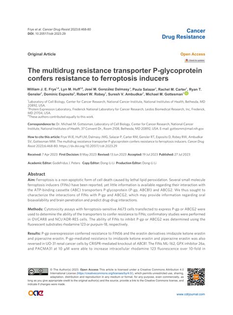 PDF The Multidrug Resistance Transporter P Glycoprotein Confers