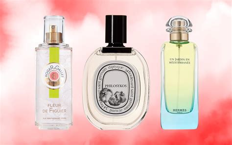 Best Fig Perfumes For Women Scent Selective