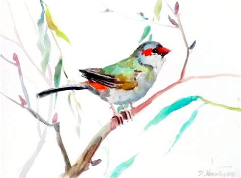 Red Brow Finch Watercolor Art