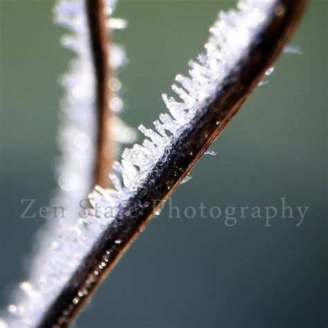 Hoar Frost Photograph. Nature Photography Print. Macro | Etsy