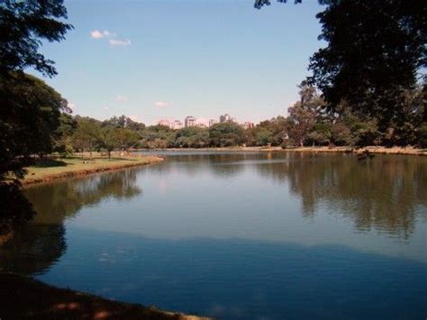 Parque de Ibirapuera en São Paulo qué ver y cómo llegar