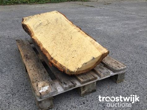 Tree Plank Oak Wood Troostwijk