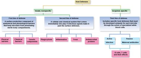 Microbiology Unit 3 Exam Diagram Quizlet