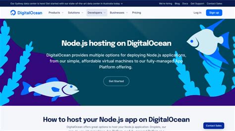 Top Best Node Js Hosting Platforms Services