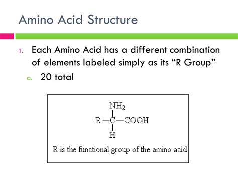 Ppt Proteins Powerpoint Presentation Free Download Id1828850