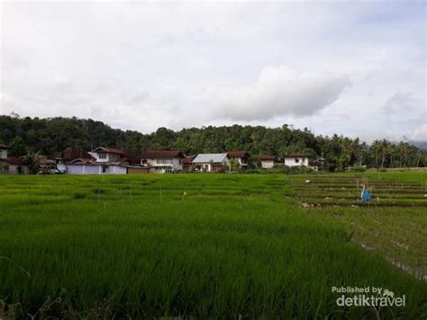 Halo Danau Kerinci Apa Kabar